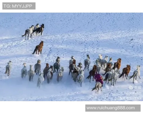 羊群中的足球巨星揭秘与他们的精彩瞬间分享